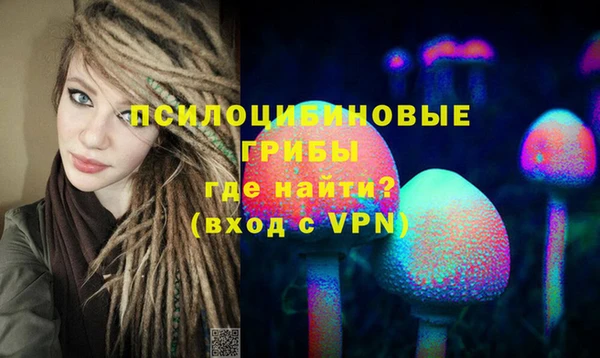 спиды Алзамай