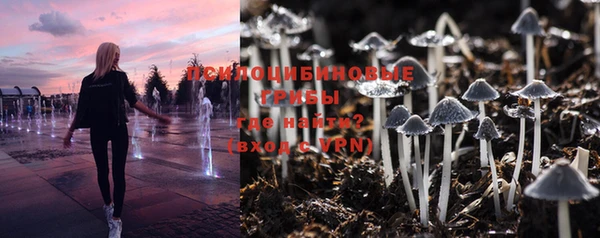 таблы Покровск