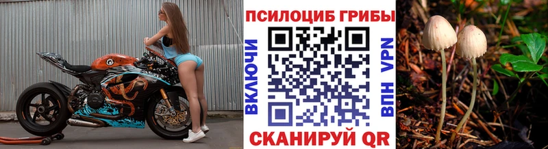 Псилоцибиновые грибы Magic Shrooms  Байкальск 